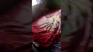 Showing All The Places Where My Cats Sleep