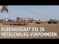 Rüben legen in Mecklenburg-Vorpommern | Landwirtschaft 2026 | Landtechnik 2026 | Farming 2026 Mp3 Song