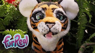 FurReal MENA - 'Roarin' Tyler, the Playful Tiger' Official Promo