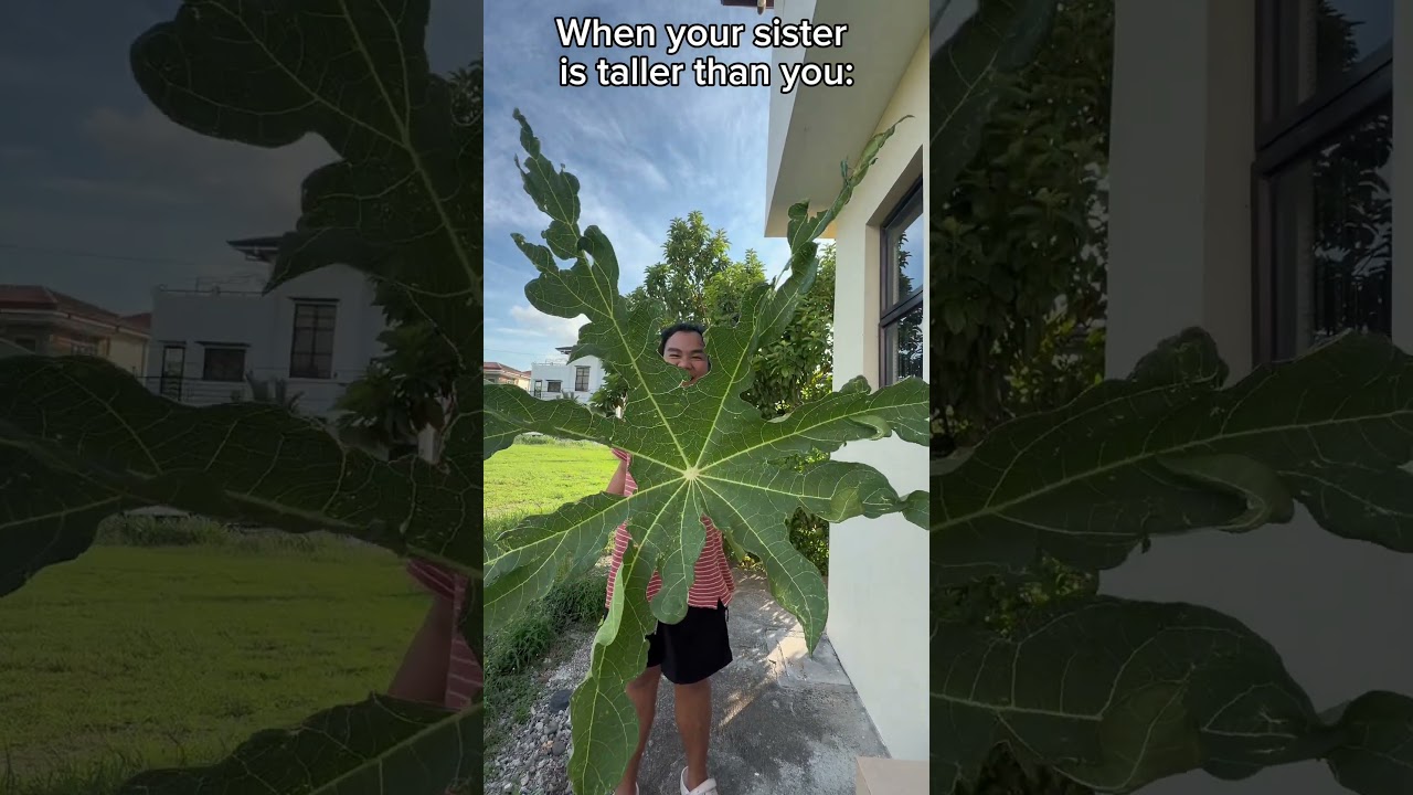 When your sibling is taller than you: #funny #humorvibes #comedy #memehub #comdeymemes #amazin