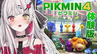 【ピクミン４】シリーズ初見！ピクミンって…なんだ！？体験版プレイしていくぞ！【石神のぞみ／にじさんじ所属】