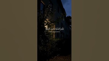 القارئ عمر زيلينسكي|  سورة الاحزاب|الاية 33 #قرآن #اكسبلور #ارح_قلبك #قران_كريم #راحة_نفسية #لايك