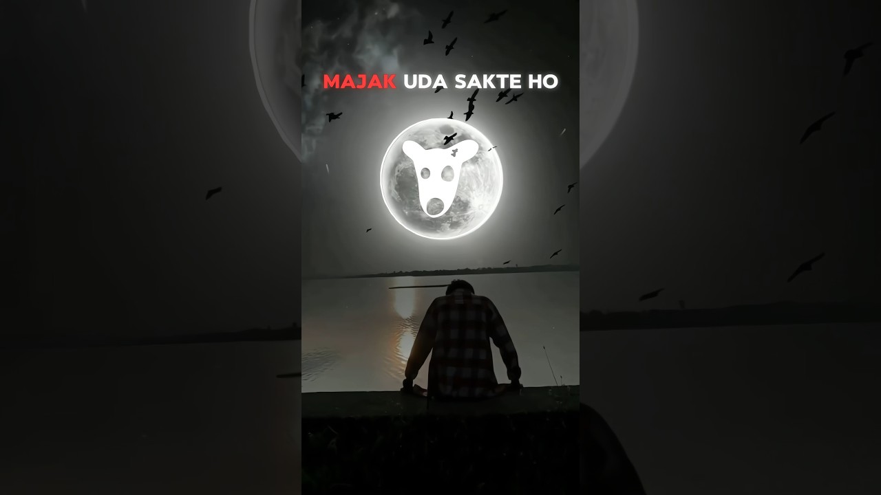 DOGS Users NOW vs 26 August After Withdrawal 🤑 