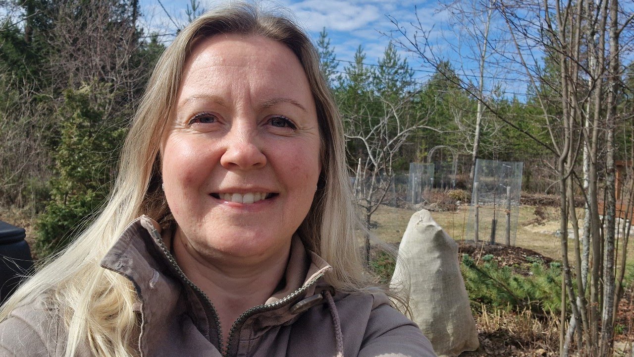 Kevätpuuhat pihalla 2025