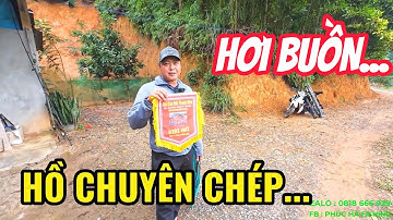 KHAI TRƯƠNG HỒ CHUYÊN CHÉP - MAY MẮN ĐƯỢC GIẢI NHÌ - PHÚC HÀ FISHING
