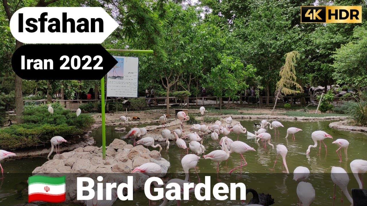 Iran Isfahan 2022 [4K] | walking in Bird Garden | باغ پرندگان اصفهان
