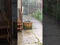 Raining Like Hell