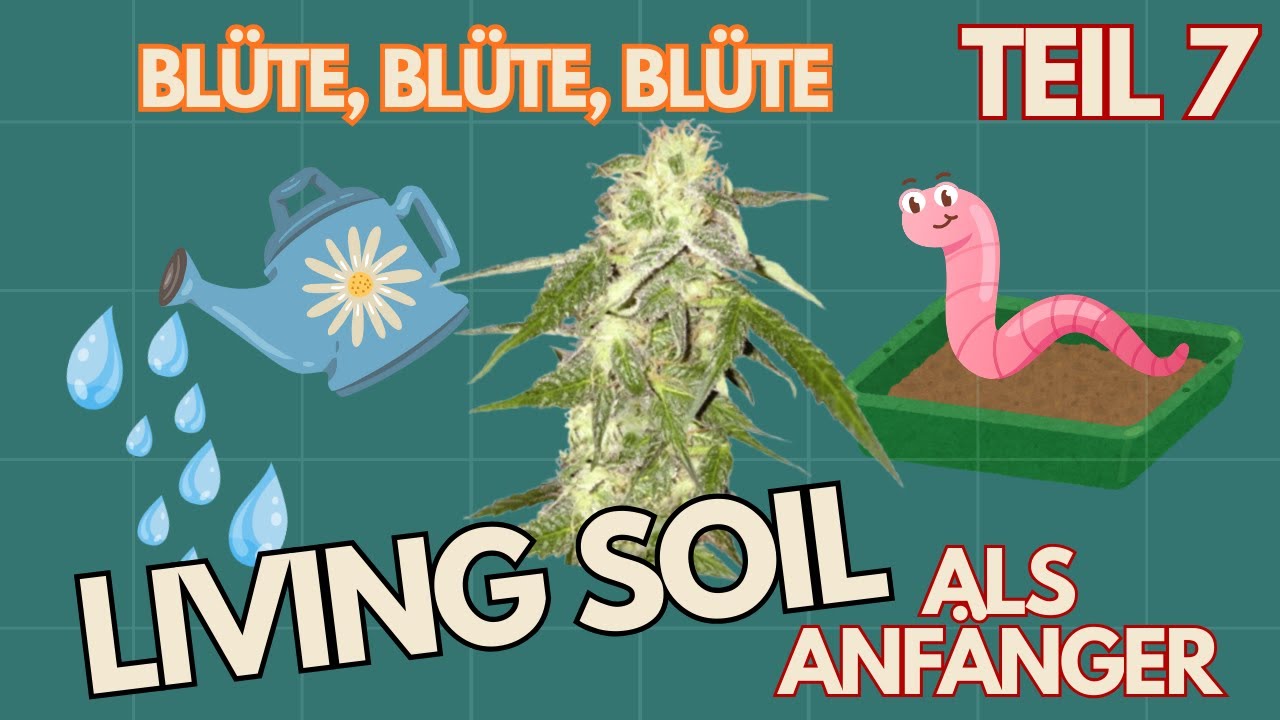 ☀️ Живая почва для начинающих — Цветение, цветение, цветение | Часть 7