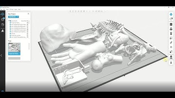 Stratasys Academy | J850 Digital Anatomy 3D Printer: Settings Overview