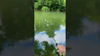 Creek Bass on the Micro Light #bassfishing #creekfishing #googanbaits