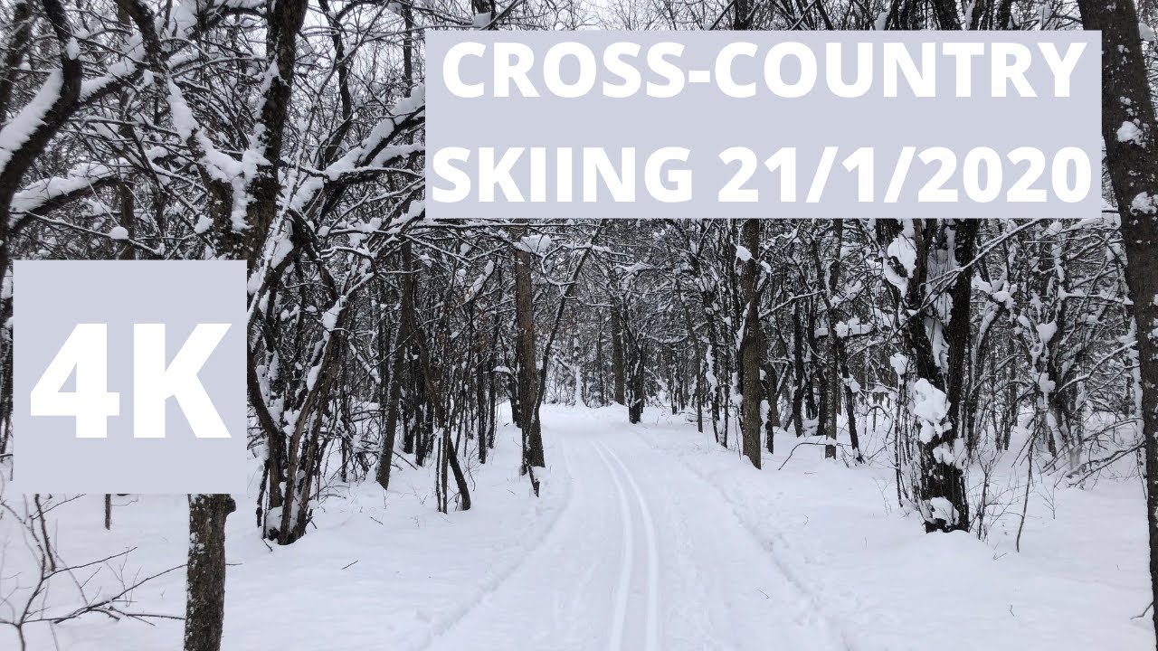Download Ski de fond Coureurs de Boisés 21/1/2020 | 4K