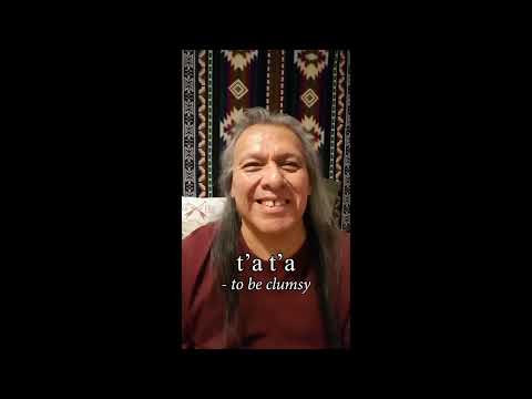 This Lakota Onelogin Secret Will Blow Your Mind