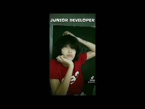 Senior Developer vs. Junior Developer