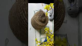 DIY Bee Hive