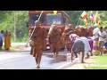 Thais bhikkhus pilgrimage in sri lanka