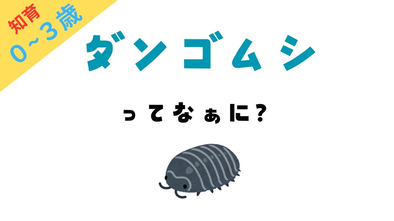 『ダンゴムシといっしょ _ ダンゴムシといっしょ – GSYWWC
