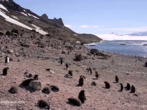 Video: Strani Microbi In Antartide Sopravvivono Esclusivamente A Causa Dell'aria - Visualizzazione Alternativa