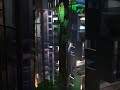 Exterior Night House Design | Cinematic 3D Tour