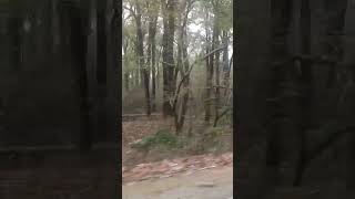 इंसान कितने भी प्रयत्न कर ले अंधेरे में छाया बुढ़ापे मे काया और अंत समय मे माया किसी का साथ नही देती