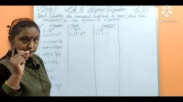 Q-3||Ex-12.1||ALGEBRA||CLASS-7TH||NCERT SOLUTIONS||
