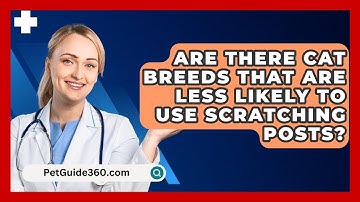Are There Cat Breeds That Are Less Likely To Use Scratching Posts? - PetGuide360.com