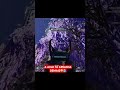 🔴A AXLE TÁ APELONA 🔥🎮#apexlegends #apex #r301 #r99 #fps #fpsgames #battleroyale #fypシ゚viral #fyp