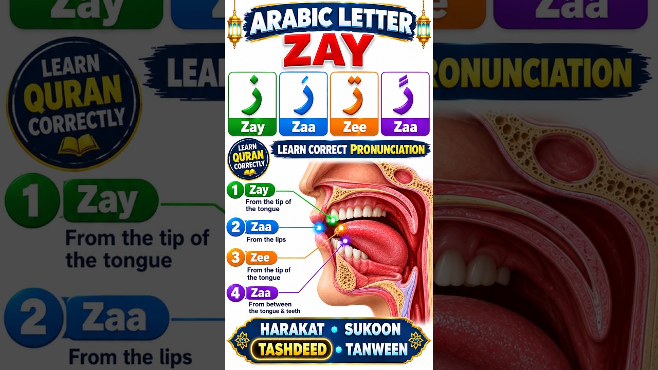 Alif baa taa Arabic Letters Makhraj | Tajweed Pronunciation & Practice #Shorts