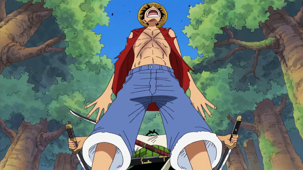 zoro luffy filler timeskip arc