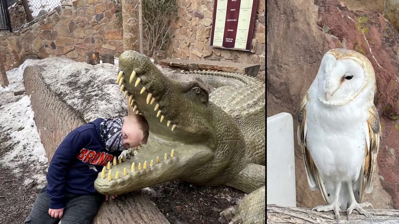 Jules Trip to Colorado Springs!| Braces And Invisalign For Teens And Adults | Commerce City, CO