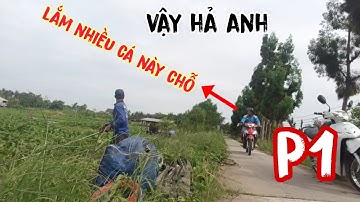 Câu cá sông!P1 bãi câu mới thật quá bất ngờ cá ăn mà không kịp móc mồi luôn thả xuống là giựt