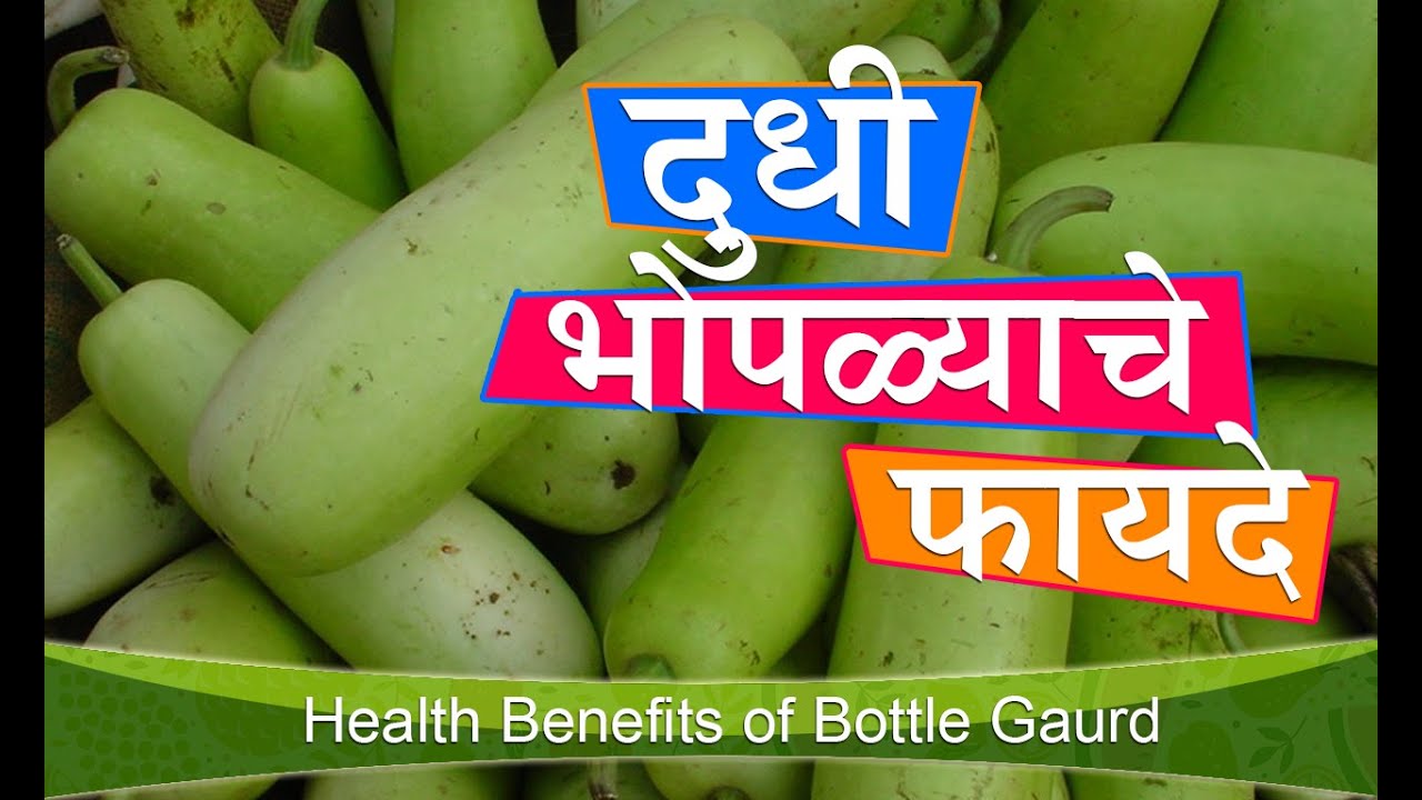 दुधी भोपळ्याचे फायदे Health Benefits of Bottle Gourd for Blood