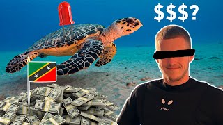 How this Dropshipping Scam makes Millions