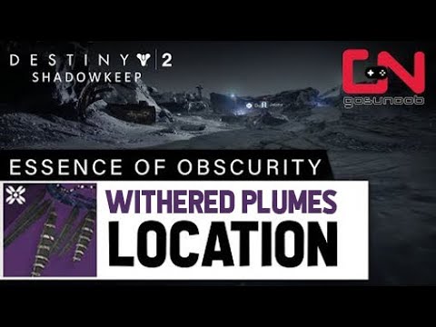 tome of obscurity destiny 2 tome of obscurity destiny 2