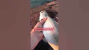 Een monsterforel gevangen tijdens de Space X Starship Flight Test 2 #shorts #shortsvideo #fish #r...