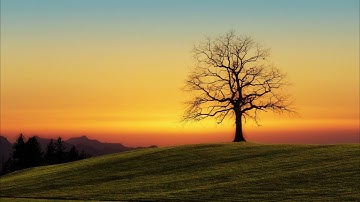 Tôi như ánh dương rực rỡ - Cố Mạn - Phần 6