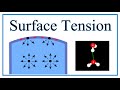 The Science Behind Water's Surface Tension and Its Unique Properties