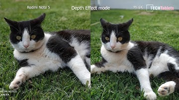 Xiaomi Mi 6X / Mi A2 Vs Redmi Note 5 / Mi Max 3 Camera Comparison