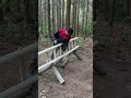 Mind-blown! Wood locks itself, load-bearing super strong