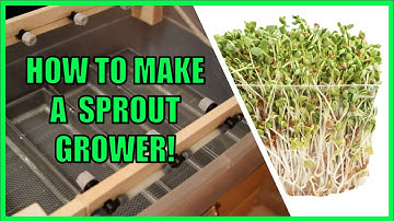 HOW TO MAKE A SPROUT GROWER (step-by-step tutorial) | FULLY AUTOMATED! |