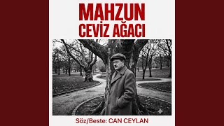 Mahzun Ceviz Ağacı