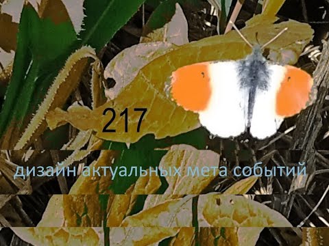 (217) Трейлер: Сергей Жариков - Генералопад: дорогой Юрий Владимирович! (Июн 2024)