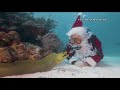 Scuba Santa off the Florida keys