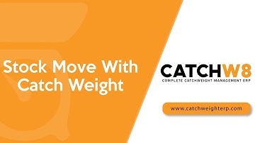 Stock Move With Catch Weight | Odoo Catch Weight ERP
