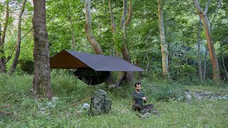 Solo Camping by the River and Sycamore Forest-Bushcraft, Water Filtration and Sterilization... by ST WILDERNESS ADVENTURES 7,886 views 10 months ago 37 minutes