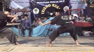Pencak silat cempaka putih ppscp tambakasri tajinan (trisno rukun)