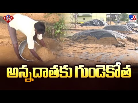 Cyclone Montha Effect | అన్నదాతకు గుండెకోత | Telangana - TV9 - TV9