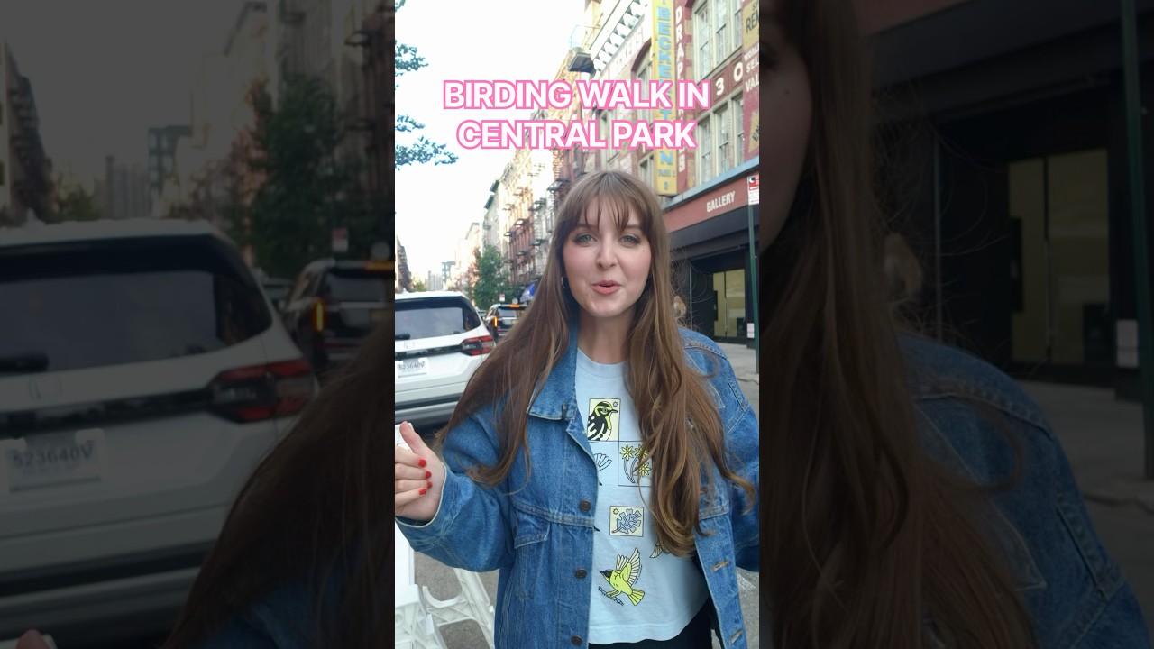 my central park birding walk recap with bird collective!