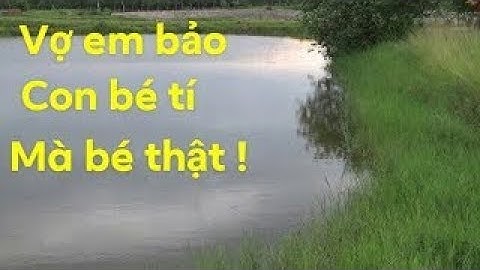 Cau ca,vợ bảo tranh thủ kiếm con về nấu canh chua và cái kết kkk. Snakehead fishing.