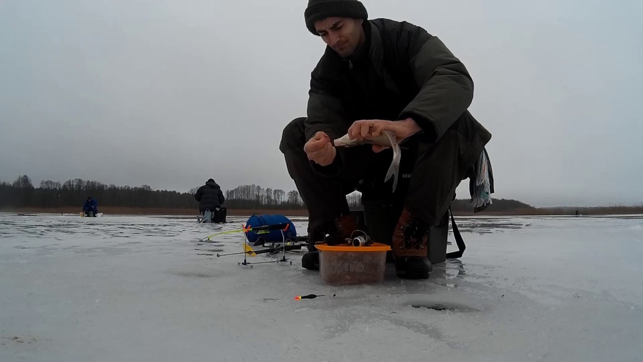 Ostatnie leszcze spod lodu