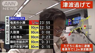 「海岸付近の人が車であがっている」津波観測の奄美市役所笠利総合支所(2022年1月16日)